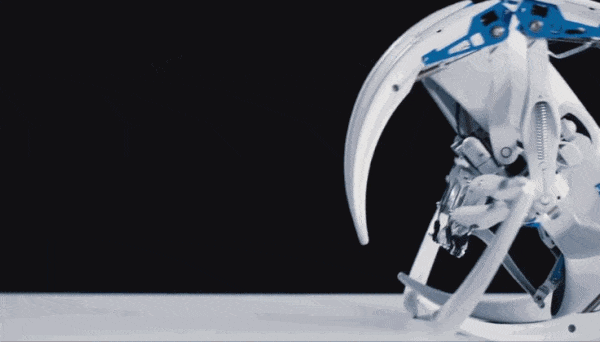 Nhện robot có thể gập người và uốn cong y hệt loài nhện sa mạc ở châu Phi