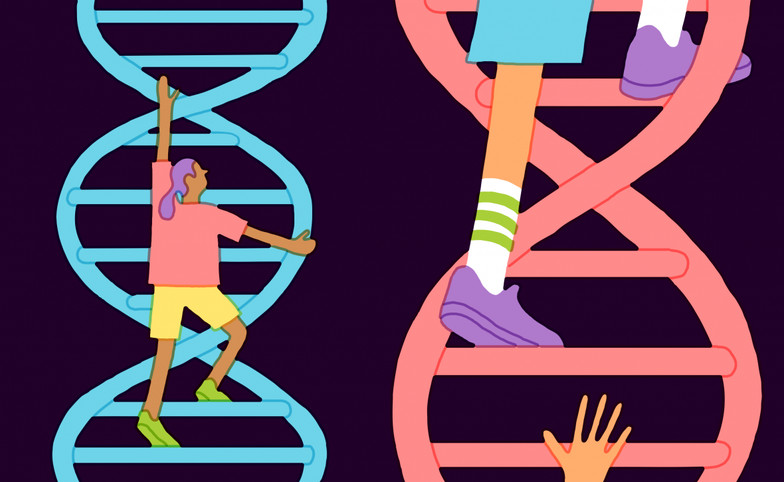 Vì sao không nên kiểm tra IQ bằng xét nghiệm gene?