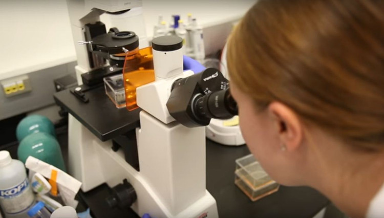 Thử nghiệm hạt nano chứa axit nucleic vào điều trị ung thư não