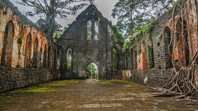 Hòn đảo 