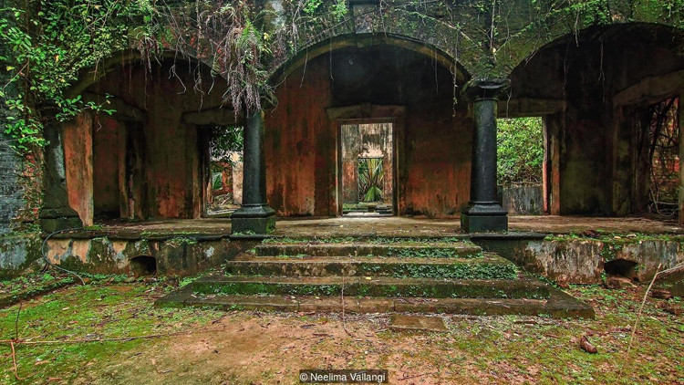 Hòn đảo 