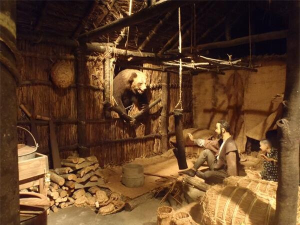 Ghê rợn những vụ động vật khát máu thảm sát con người