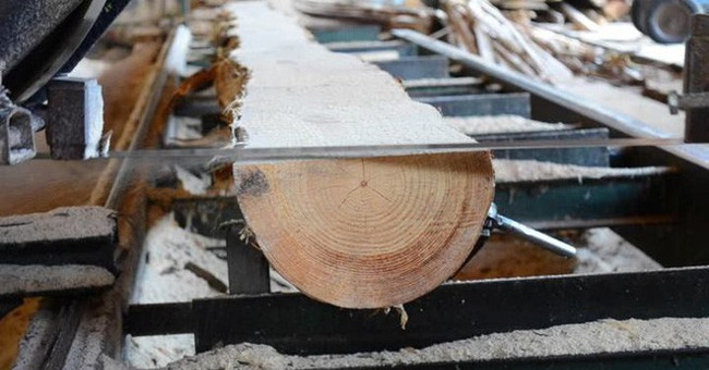 Phát hiện mùn cưa, phôi gỗ, vỏ bào… có thể giúp kết dính bê tông chắc hơn