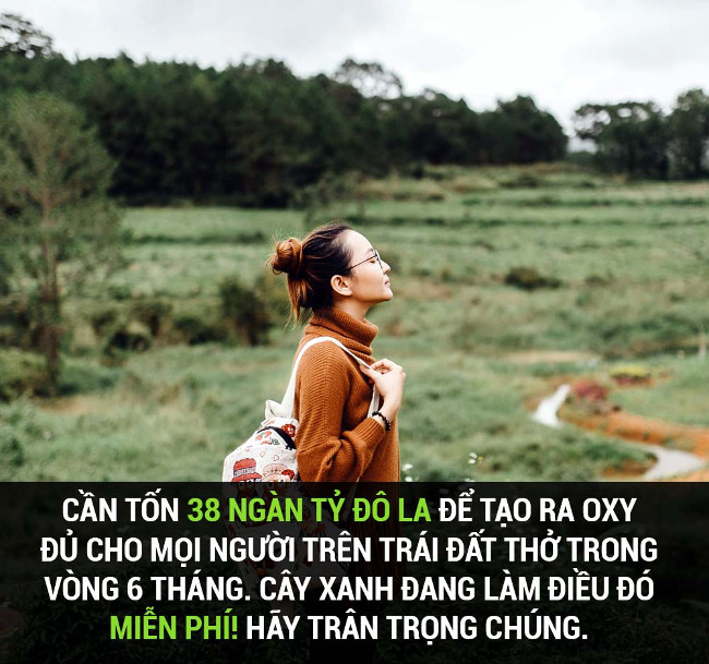 Tổng hợp những sự thật thú vị có thể bạn chưa biết!