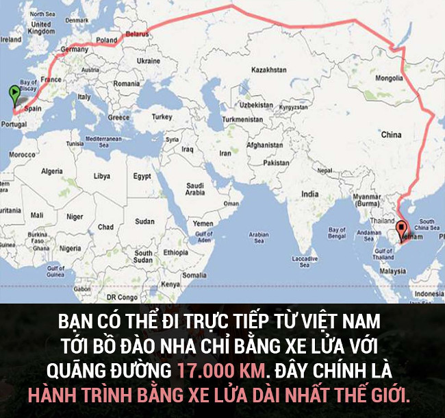 Tổng hợp những sự thật thú vị có thể bạn chưa biết!