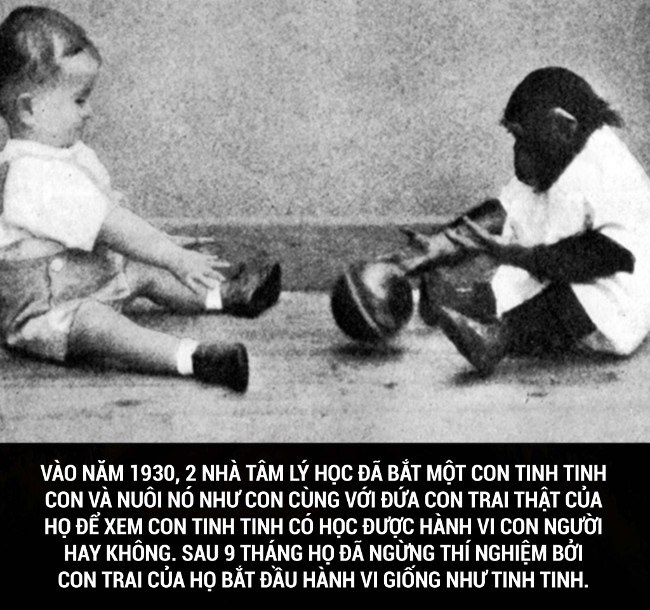 Tổng hợp những sự thật thú vị có thể bạn chưa biết!