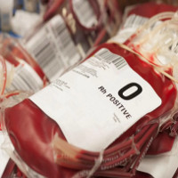 Người nhóm máu O dễ tử vong hơn khi bị chấn thương