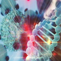 "Siêu tế bào" đánh bại ung thư, nhiễm trùng và sự lão hóa