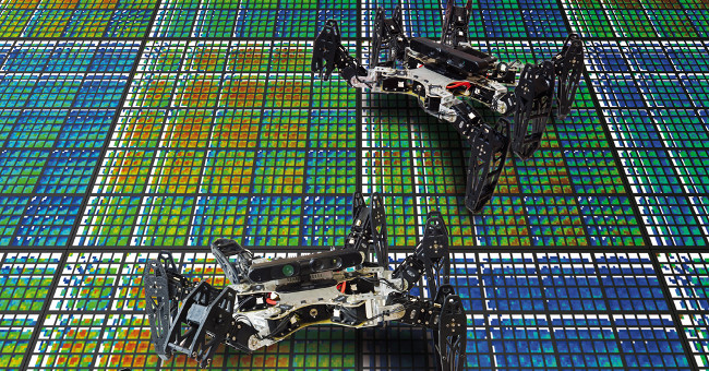 Robot bắt chước loài vật tự đi tiếp khi "bị thương"