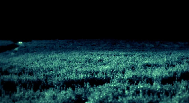 Skinwalker - Nơi kỳ lạ nhất Trái đất
