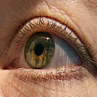 Nghiên cứu: Tính cách có ảnh hưởng đến cách chúng ta cử động mắt