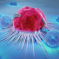Liệu chúng ta có thể giết chết tế bào ung thư khi chúng đang "ngủ"?