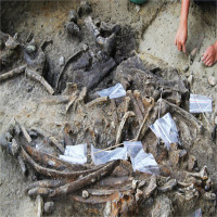 Bằng chứng sự xuất hiện của tộc người ở quần đảo Philippines 700.000 năm trước