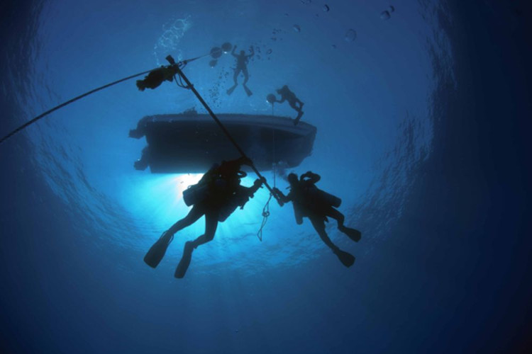 Vùng biển sâu 300m bí ẩn ở Bermuda: Xuất hiện sinh vật chưa từng biết trên Trái Đất