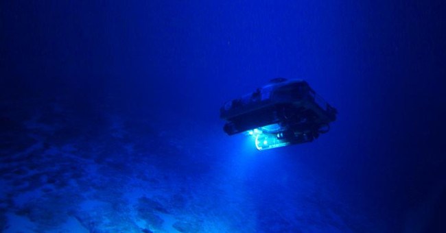 Vùng biển sâu 300m bí ẩn ở Bermuda: Xuất hiện sinh vật chưa từng biết trên Trái Đất