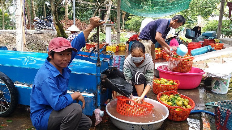 Một nông dân chế tạo thành công máy rửa quả hồng xiêm