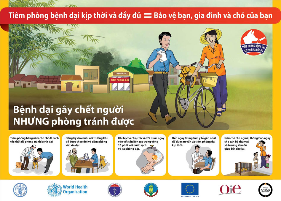 Tổng quan về bệnh dại với các con số thực tế ở Việt Nam