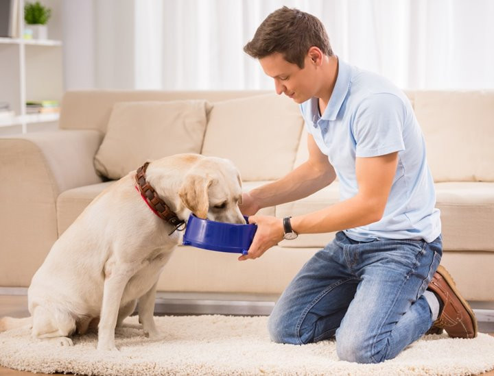 Cho cún cưng ăn đồ tươi sống có thể khiến... chủ nhân bị bệnh