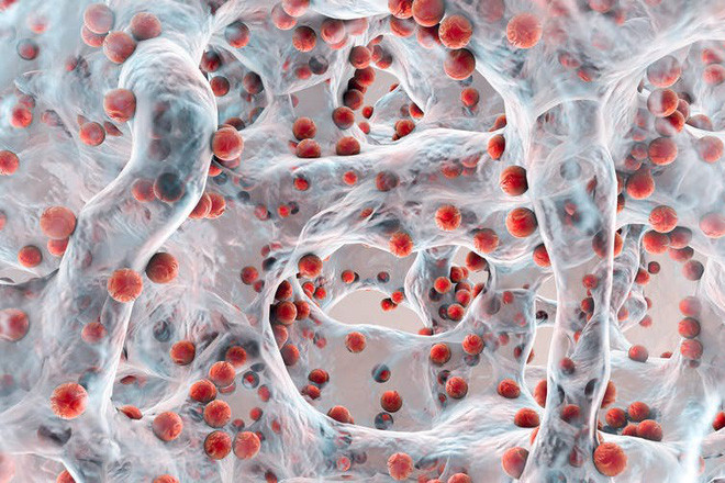 Loại enzyme kỳ diệu mới sẽ tiêu hủy nhựa như thế nào?