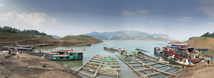 Nhiều loài cá đặc sản ở chợ đầu mối trên núi