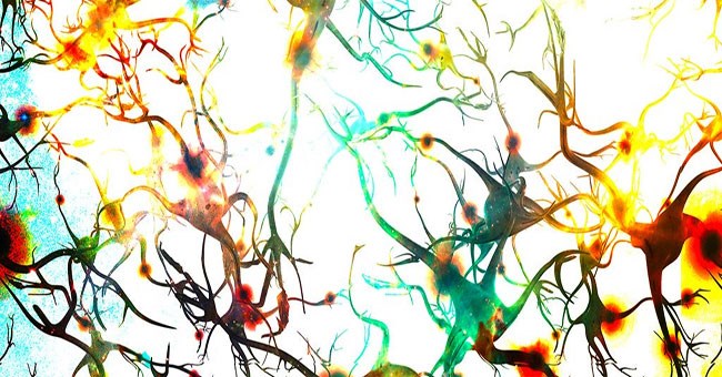 Tại sao cùng là người mà người khác thông minh còn bạn thì không?