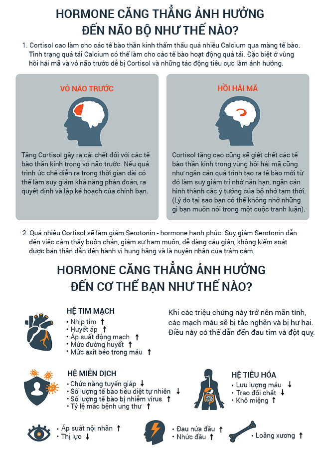Điều gì xảy ra với não bộ và cơ thể bạn khi tức giận?