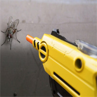 Trở thành “xạ thủ” diệt…ruồi với khẩu súng bắn đạn muối