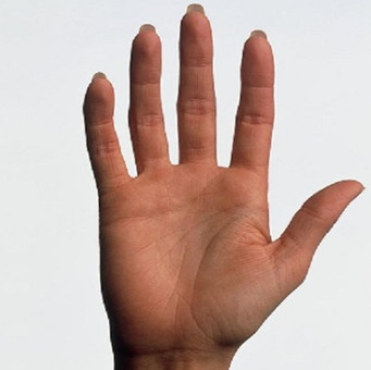 Bạn có thể đếm đến bao nhiêu với bàn tay của mình?