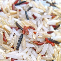 Nồng độ CO2 quá cao có thể khiến gạo mất nhiều dưỡng chất quan trọng?