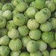 Cách chọn dưa lê ngon không ngậm “hóa chất”