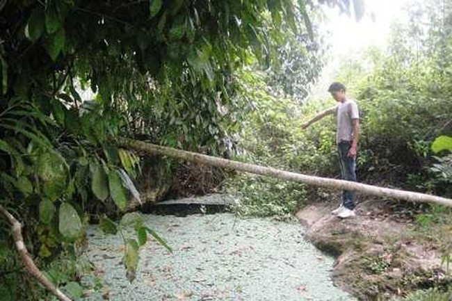 Những chuyện kỳ bí về 