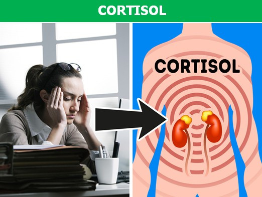 Tìm hiểu nhanh những loại hormone có thể là nguyên nhân khiến bạn bị béo phì!