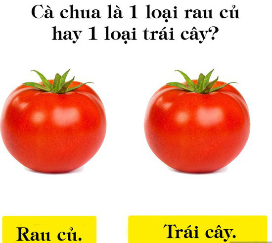 5 điều nghe có vẻ hư cấu nhưng lại hoàn toàn có thật, cái cuối cùng thực sự gây sốc