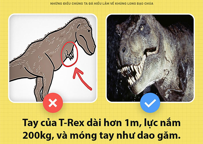 Này, tôi là T-Rex bạo chúa của Jurassic World đây và các ông đã nhầm về tôi hết rồi!