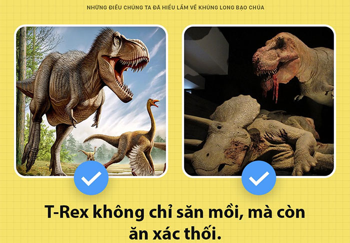 Này, tôi là T-Rex bạo chúa của Jurassic World đây và các ông đã nhầm về tôi hết rồi!