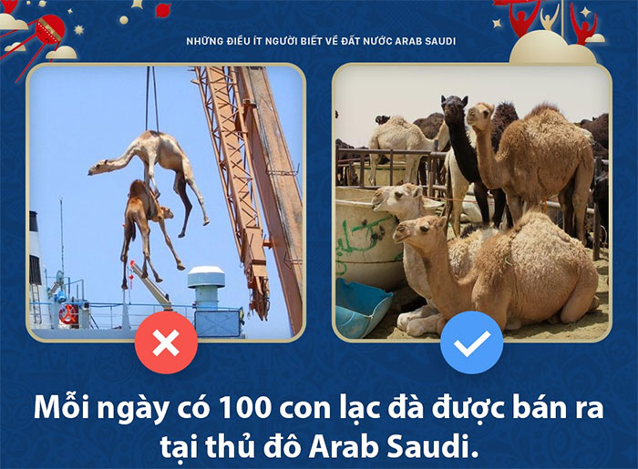5 điều bất ngờ ít người biết về Arab Saudi