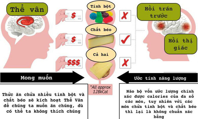 Dù biết ăn vào béo ú nhưng sao ta cứ mê mẩn món khoai tây chiên đến vậy?