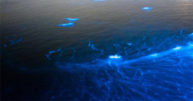 Hiện tượng kỳ dị trên biển xảy ra đã trăm năm nhưng khoa học chưa thể giải mã!