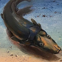 Hình ảnh loài cá giống thú mỏ vịt được tìm thấy ở rạn san hô cổ đại