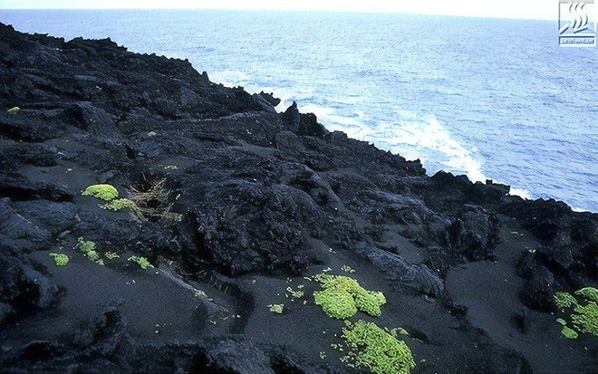 Đảo núi lửa Surtsey: Cấm địa kỳ bí của giới khoa học ngoài khơi Iceland
