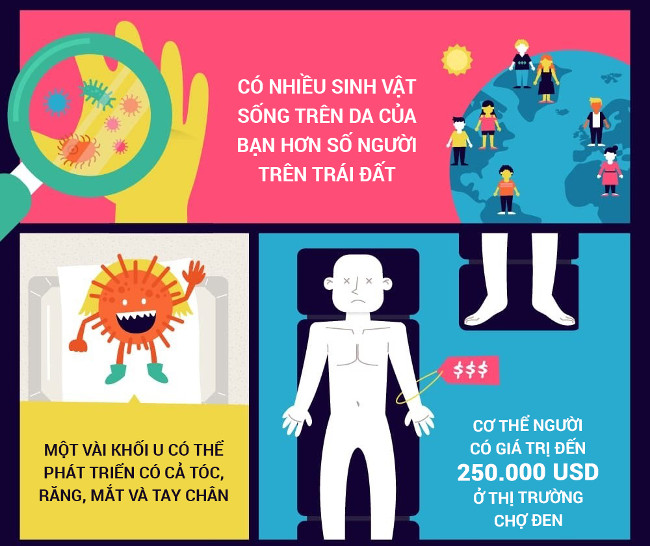 20 sự thật có phần ghê rợn liên quan đến cơ thể người
