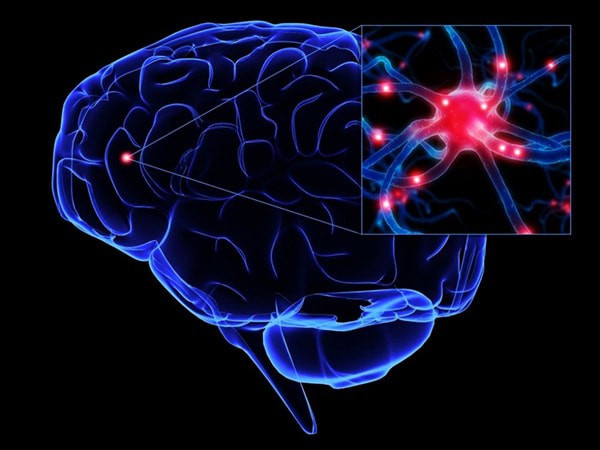 Trí nhớ của hệ thống tiêu hóa giúp chúng ta nhớ rõ nơi mình từng được ăn ngon