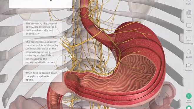 Trí nhớ của hệ thống tiêu hóa giúp chúng ta nhớ rõ nơi mình từng được ăn ngon