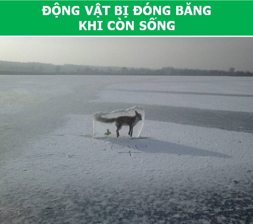 Những hiện tượng kỳ lạ sẽ giúp bạn nhận ra sức mạnh thực sự của tự nhiên