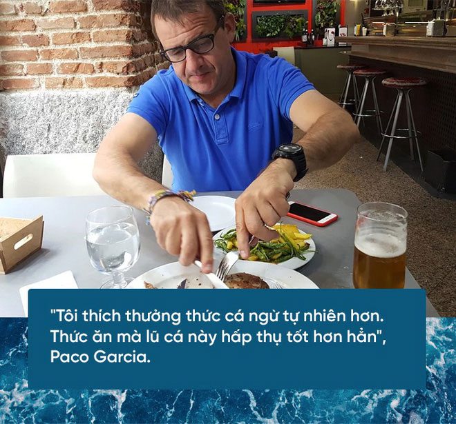 Các nhà khoa học đang thuần hóa cá ngừ vây xanh để có đủ nguyên liệu làm sushi