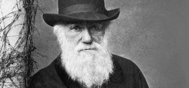 Charles Darwin đã rất hứng thú với việc nhiệt sẽ cung cấp một lực cho phép nhện tung tơ trong gió.