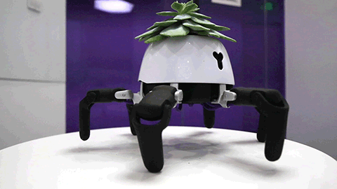 Robot 