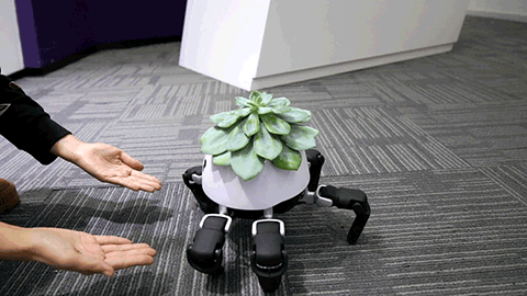 Robot 