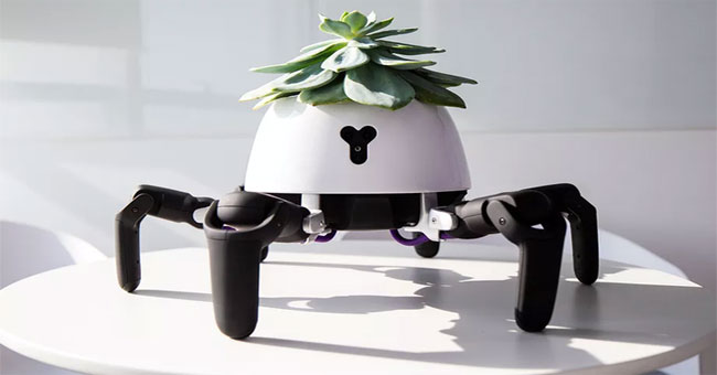 Robot "đầu chỉ để trồng cây" biết tìm tới ánh sáng để quang hợp, báo hiệu khi cây khát nước