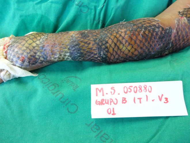 Những phương pháp chữa bệnh 